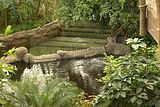 leipzig zoo-01_07_2011_gondwanaland_130